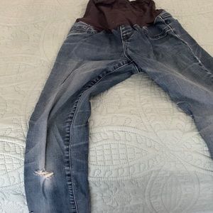 Maternity pants